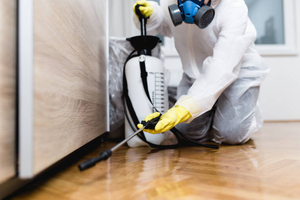Best Pest Removal Services  in Olathe, CO
