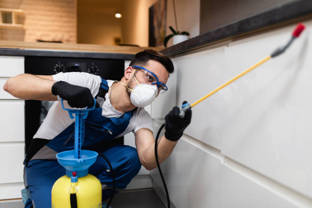 Olathe, CO Pest Control Company
