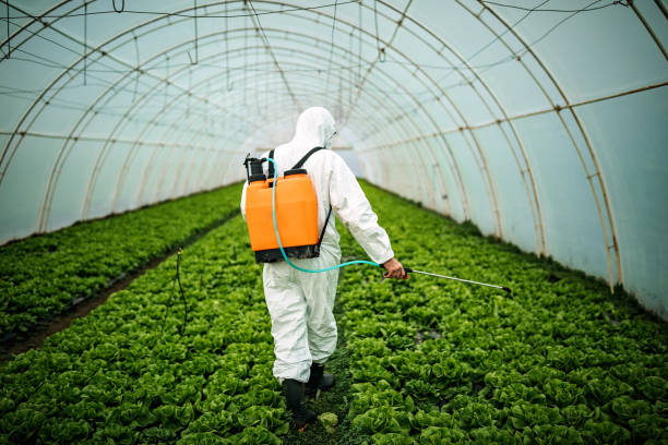 Best Pest Inspection Near Me  in Olathe, CO