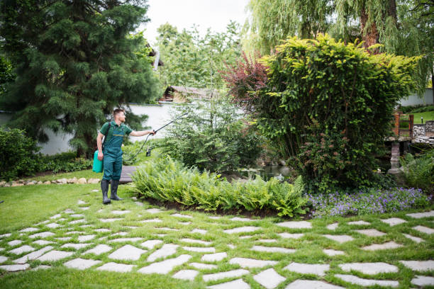 Best Pest Control Near Me  in Olathe, CO