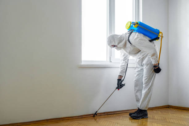 Pest Control for Restaurants in Olathe, CO