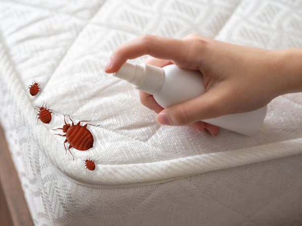 Best Best Pest Control Companies  in Olathe, CO